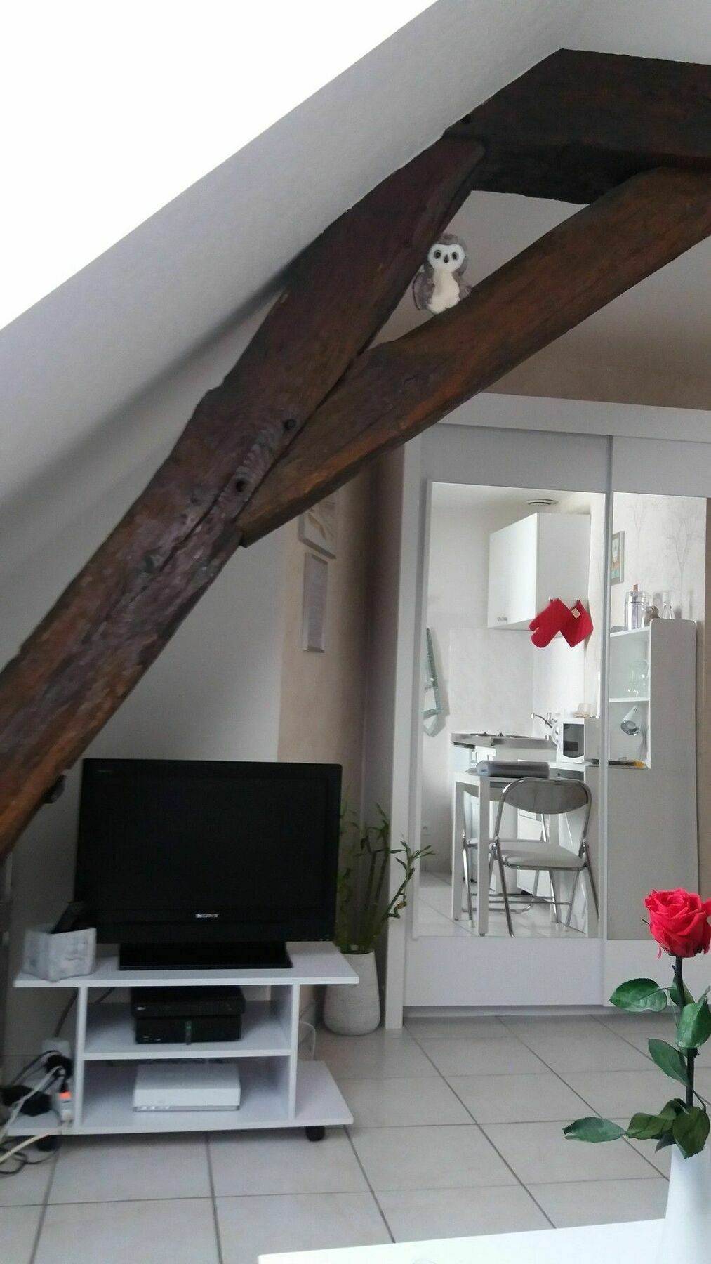 La Cascade Et Des Halles Apartment